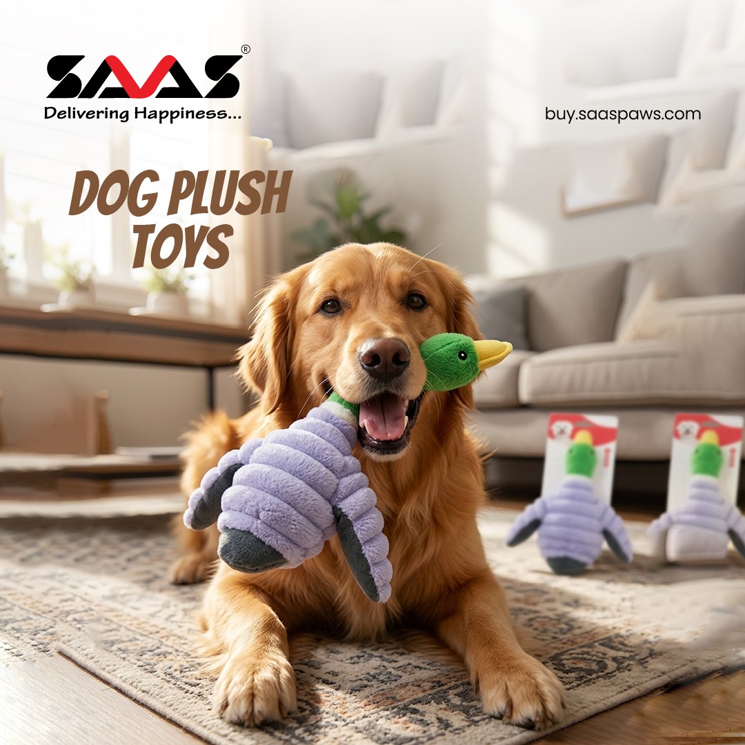 B2B SAAS PAWS promo