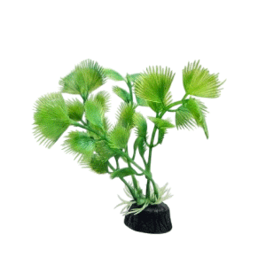 Saas Tank Decoration Plant 3 Pcs/Bag (11.5 CM)