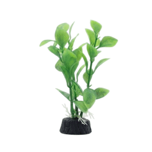 Saas Tank Decoration Plant 3 Pcs/Bag (11.5 CM)