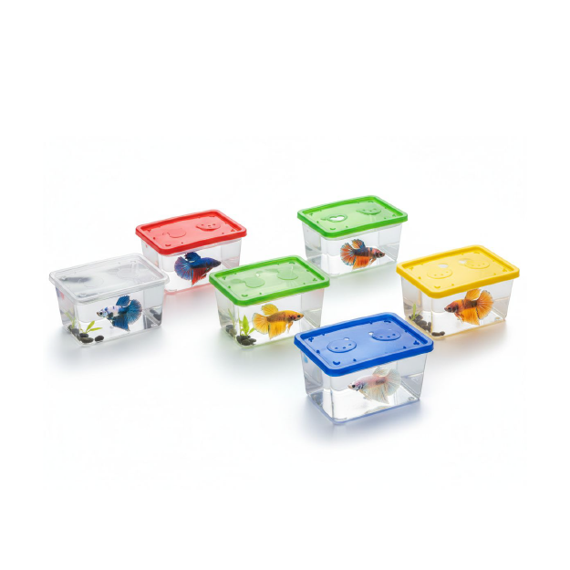 Smart Fish Rectangle Betta Box (13x9x7 CM)