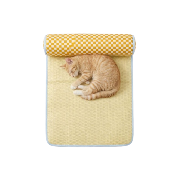 Saas Pet Mat With Pillow Washable 60x46 CM