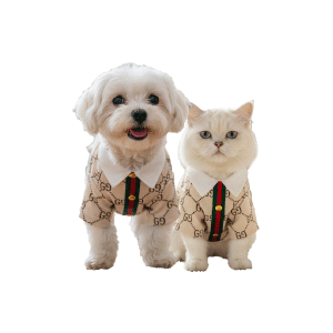 Saas Pet Dress Gucci Shirt