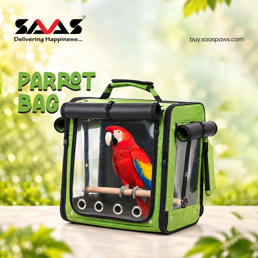 B2B SAAS PAWS promo