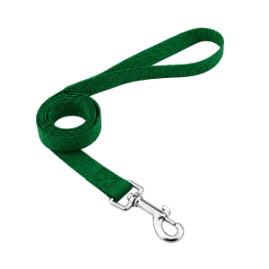 Saas Dog Leash 2.5x120 CM (Green)