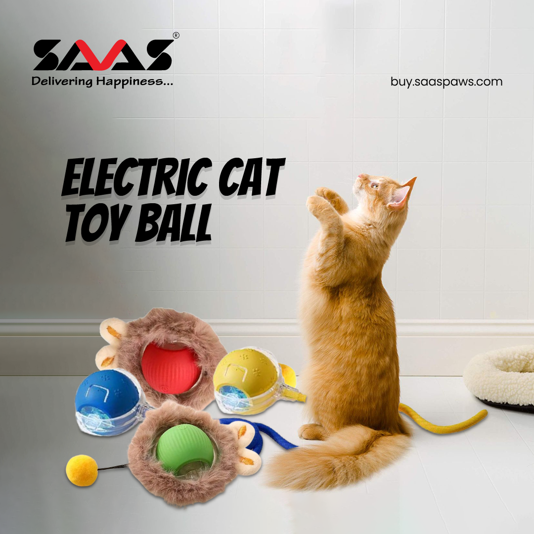 B2B SAAS PAWS promo
