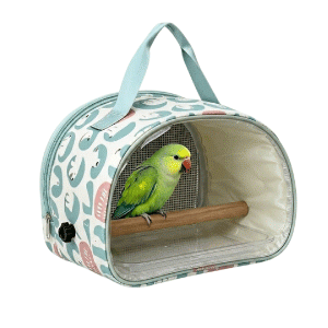 Saas Outdoor Bird Carrier 22x14x17 CM