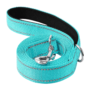 Saas Dog Nylon Leash (Aqua)