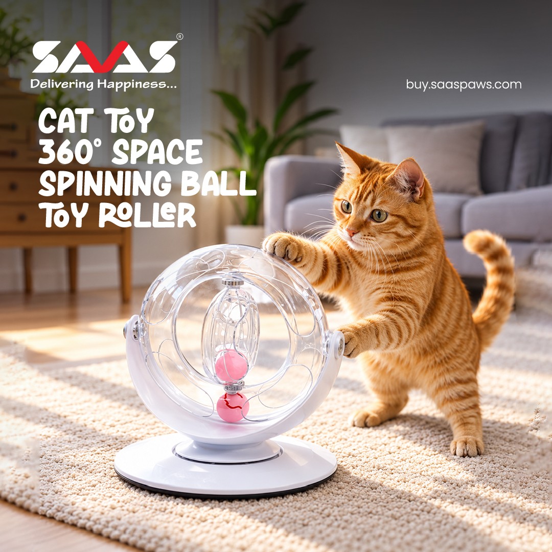 B2B SAAS PAWS promo