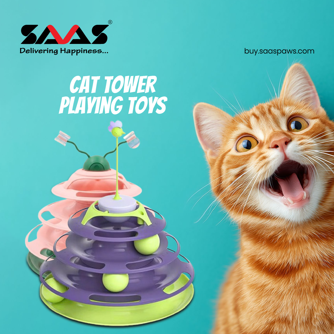 B2B SAAS PAWS promo