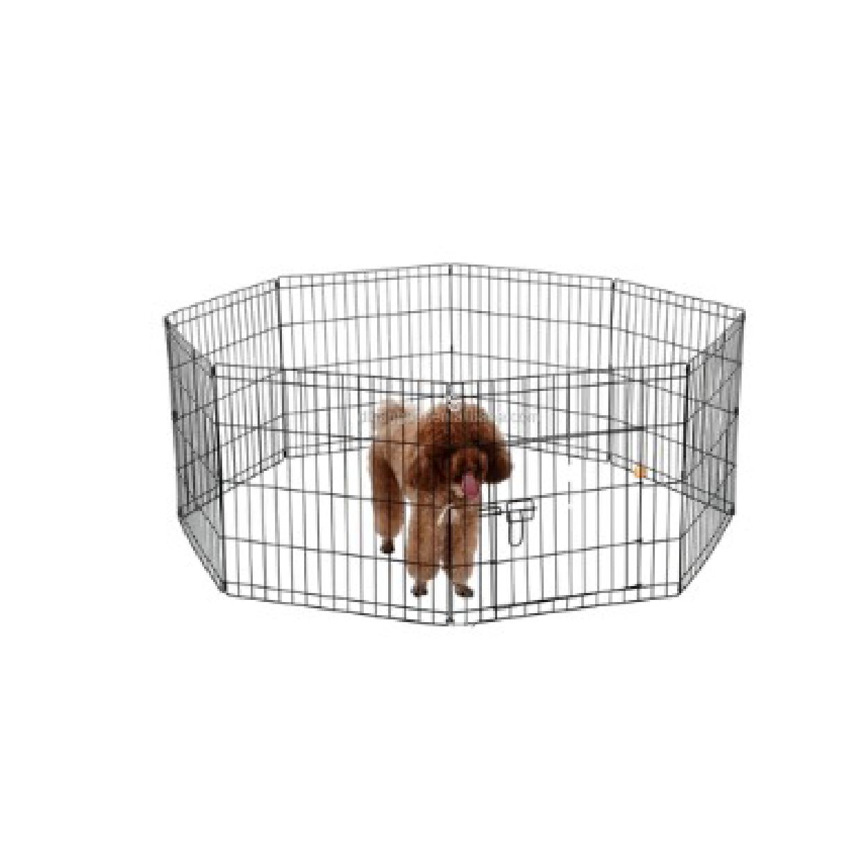 Saas Dog Play Pen (S - 61 X 61Cm 24Inch M- 76X61Cm 30 Inch L- 92X62Cm 36Inch XL- 110X62 Cm 42Inch XXL-112X60Cm 48Inch)