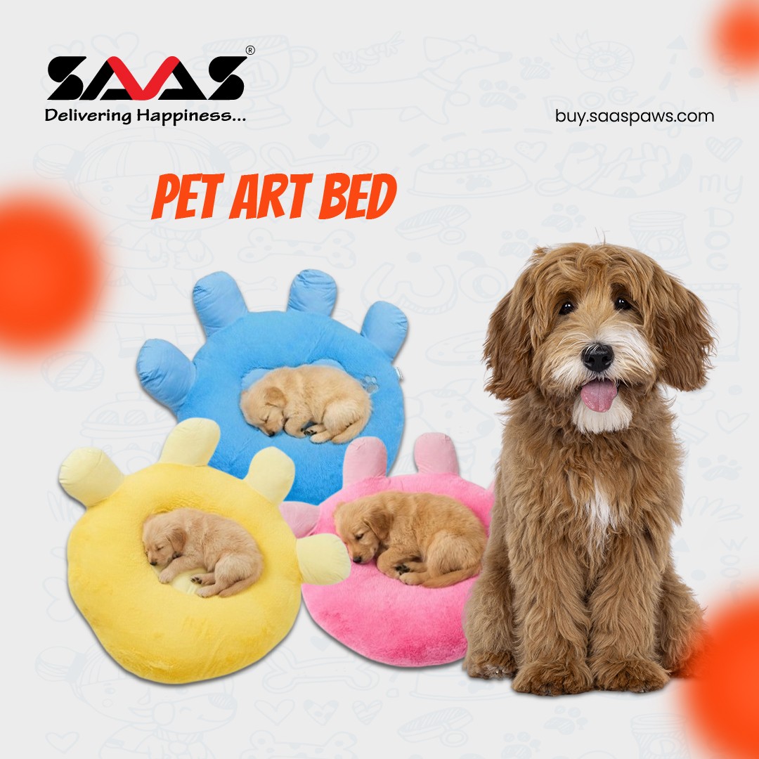 B2B SAAS PAWS promo