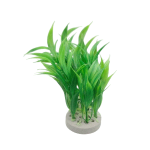 Saas Tank Decoration Plant 2 Pcs/Bag (15 CM)