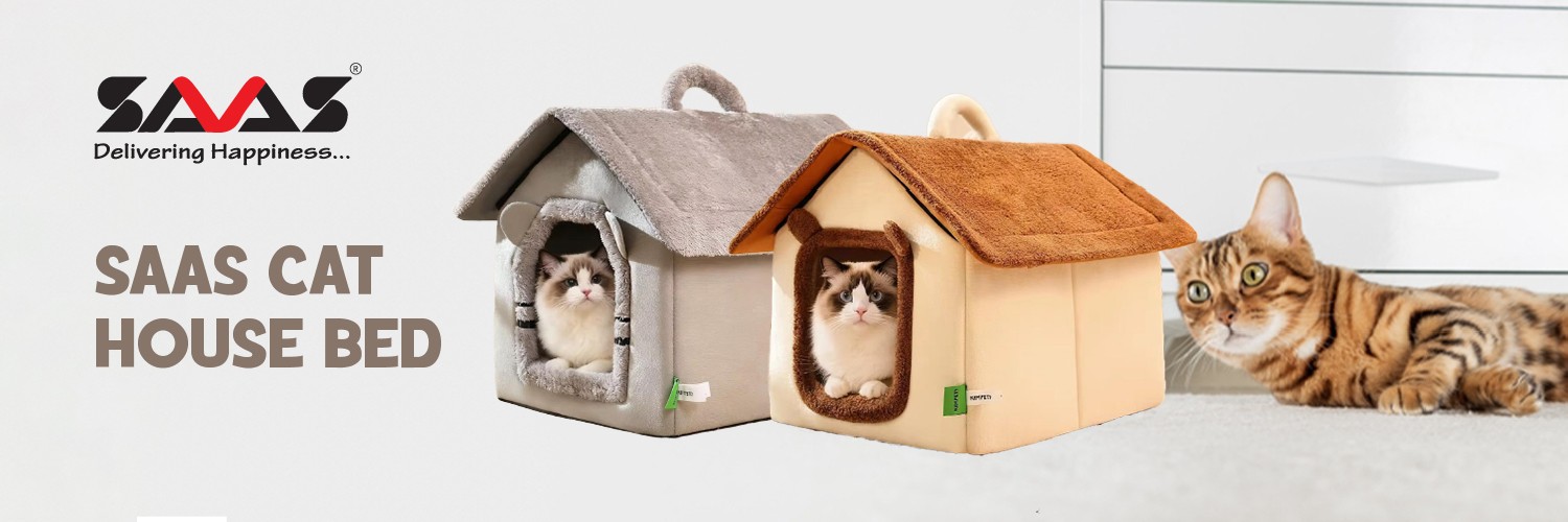 B2B SAAS PAWS promo