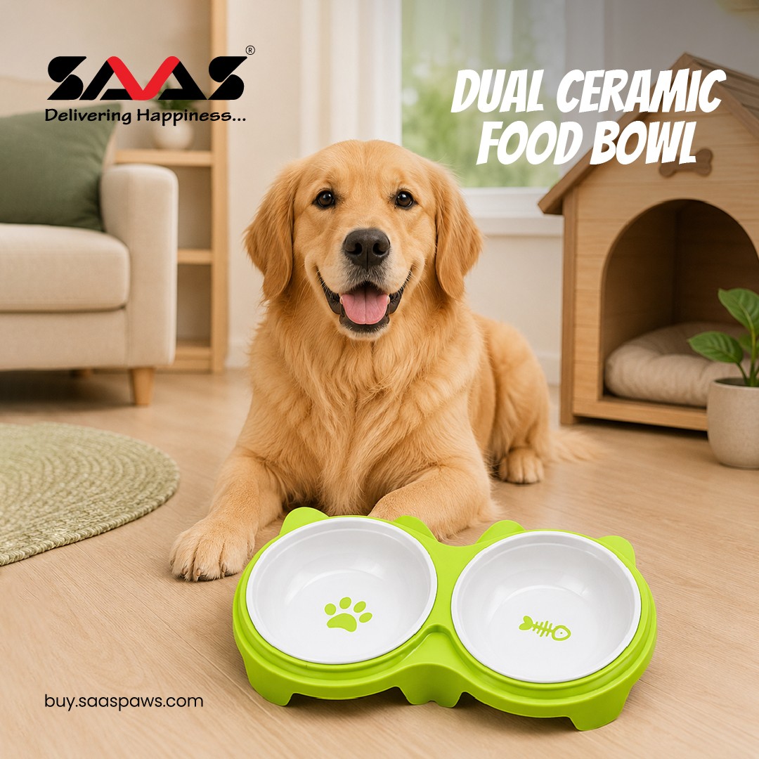 B2B SAAS PAWS promo