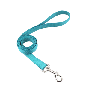 Saas Dog Leash 2.5x120 CM (Sky Blue)