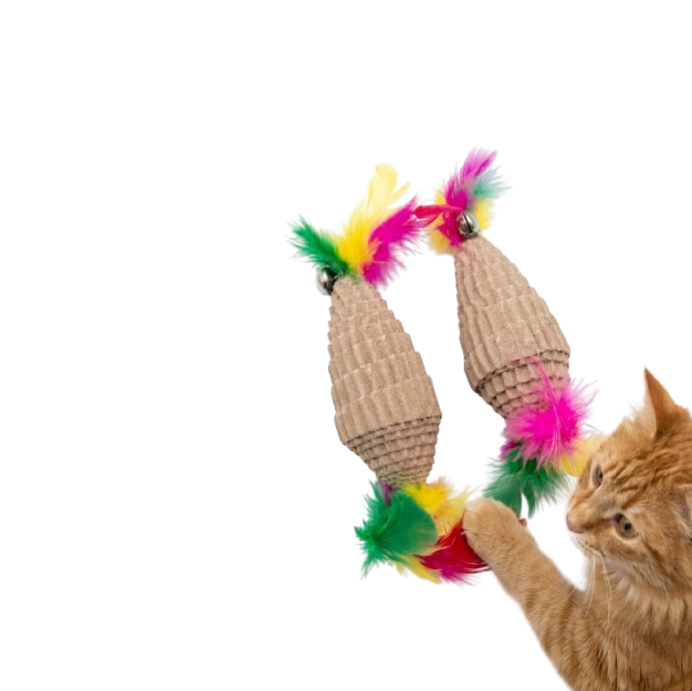 Saas Cat Scratch Toy #1