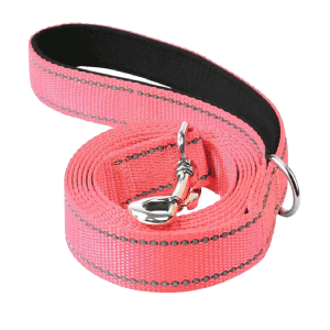 Saas Dog Nylon Leash (Pink)