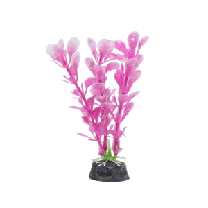 Saas Tank Decoration Plant 3 Pcs/Bag (11.5 CM)