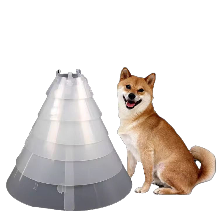 Transperent Elizabath Collar #7.5 (Size: 12.5x33cm)