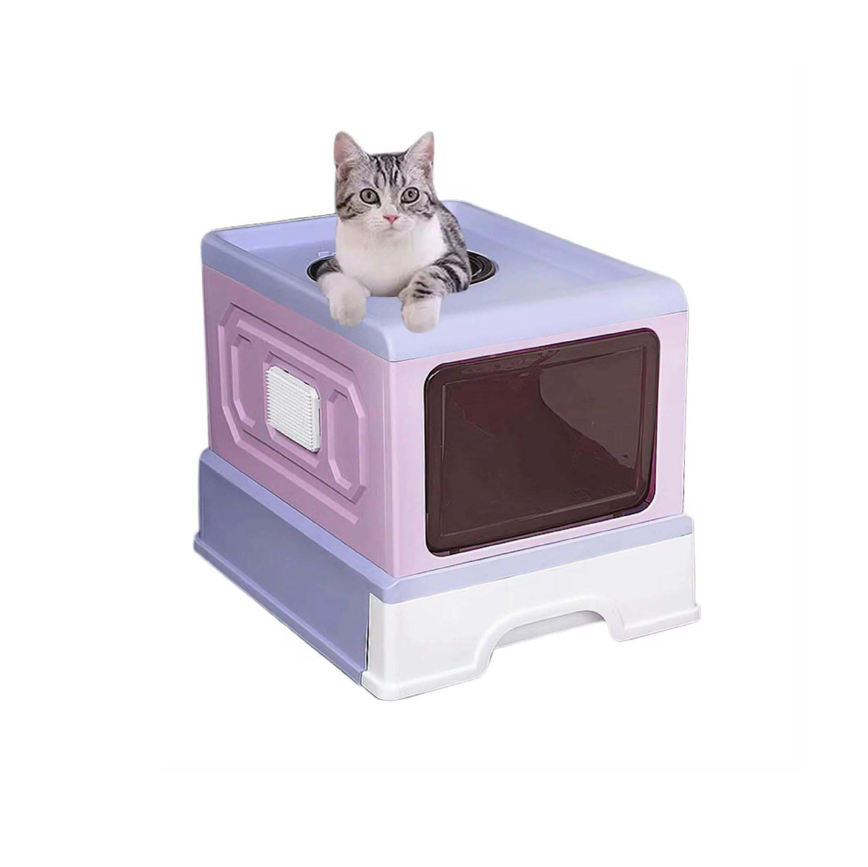 Saas Stylish Closed Cat Litter Box (Purple)
