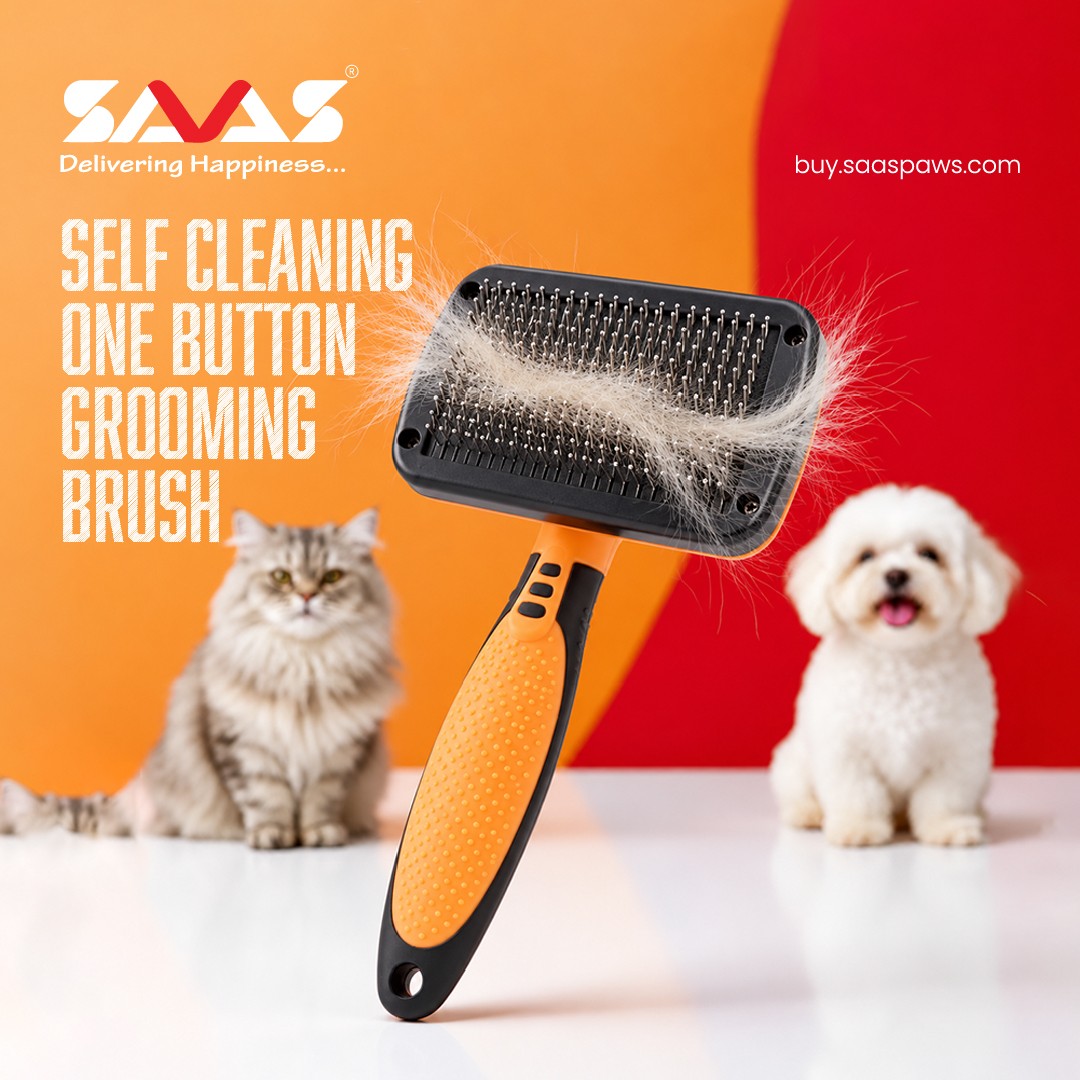 B2B SAAS PAWS promo