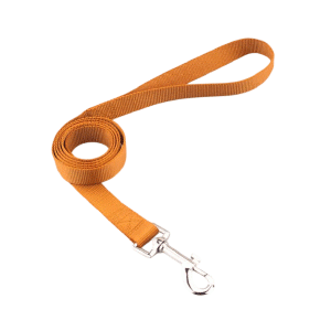 Saas Dog Leash 2.5x120 CM (Orange)