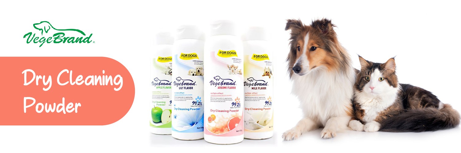 B2B SAAS PAWS promo