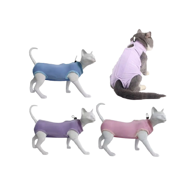 Saas Cat Recovery Suit S (2-4 KG)