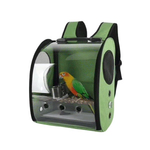 Saas Bird Carrier Bag 32x22x38 CM (Green)