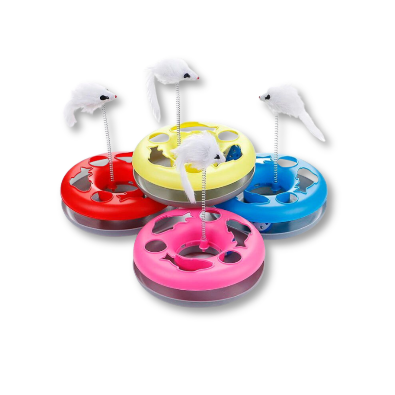 Saas Cat Playing Toy With Ball & Mouse 1191