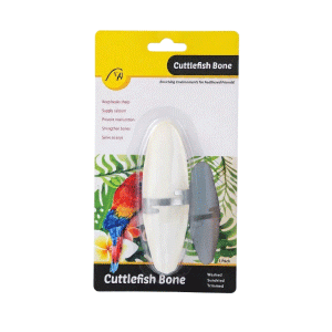 Saas Parrot Cuttlefish Bone 11 CM