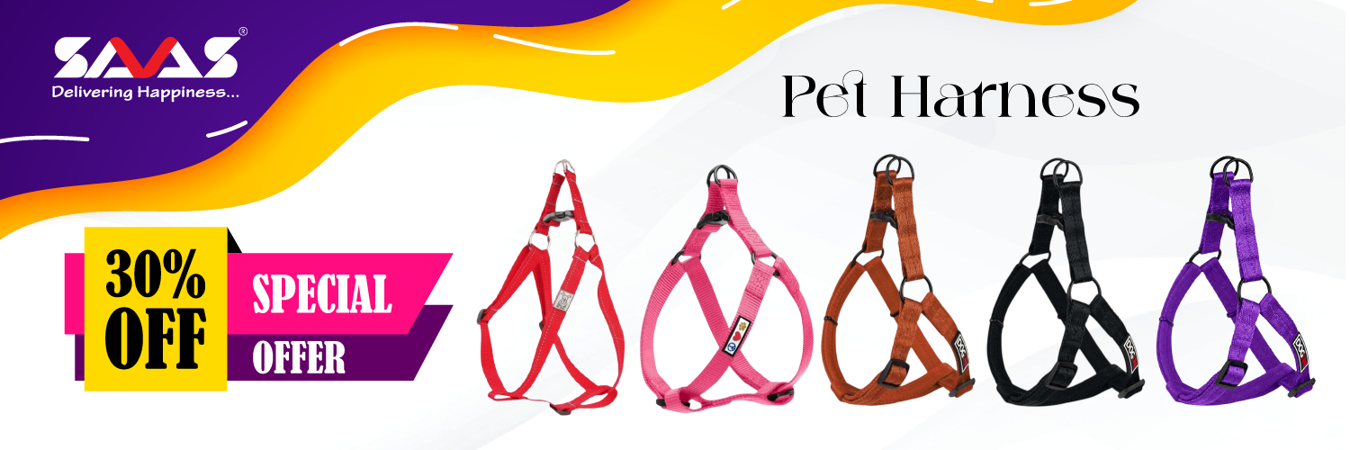 B2B SAAS PAWS promo