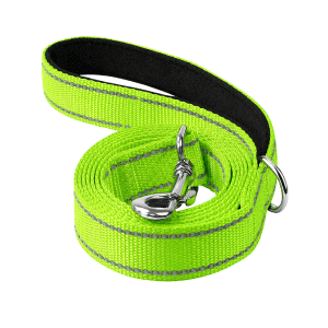 Saas Dog Nylon Leash (Neon Green)