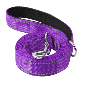 Saas Dog Nylon Leash (Violet)