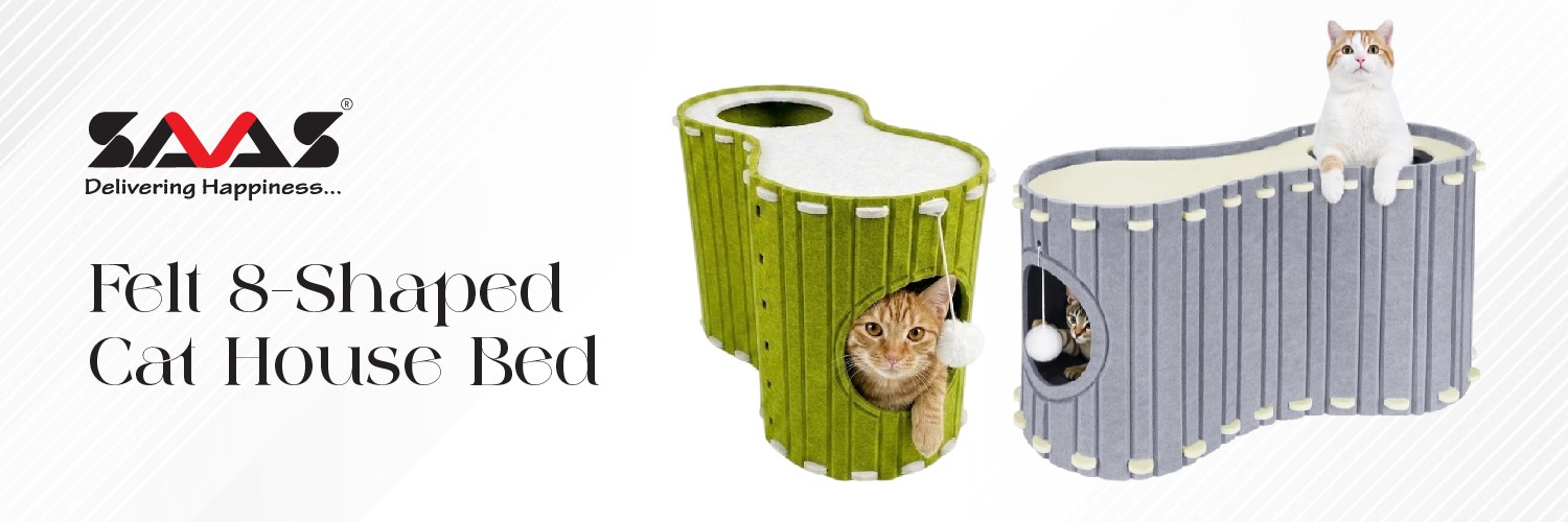 B2B SAAS PAWS promo