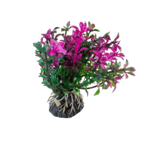 tank decoration plants 10*15cm 3pcs /bag
