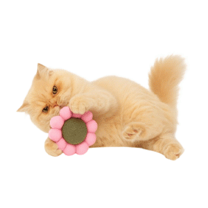 Catnip Chew Toy For Cats - Dental Care & Bonding