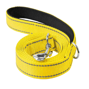 Saas Dog Nylon Leash (Yellow)