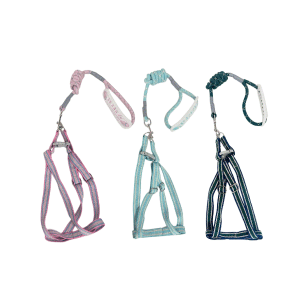 Saas Dog Harness +Leash Set (1.2mmx120, 1.0mmx120 CM)