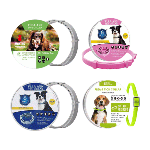 Flea & Tick Collar