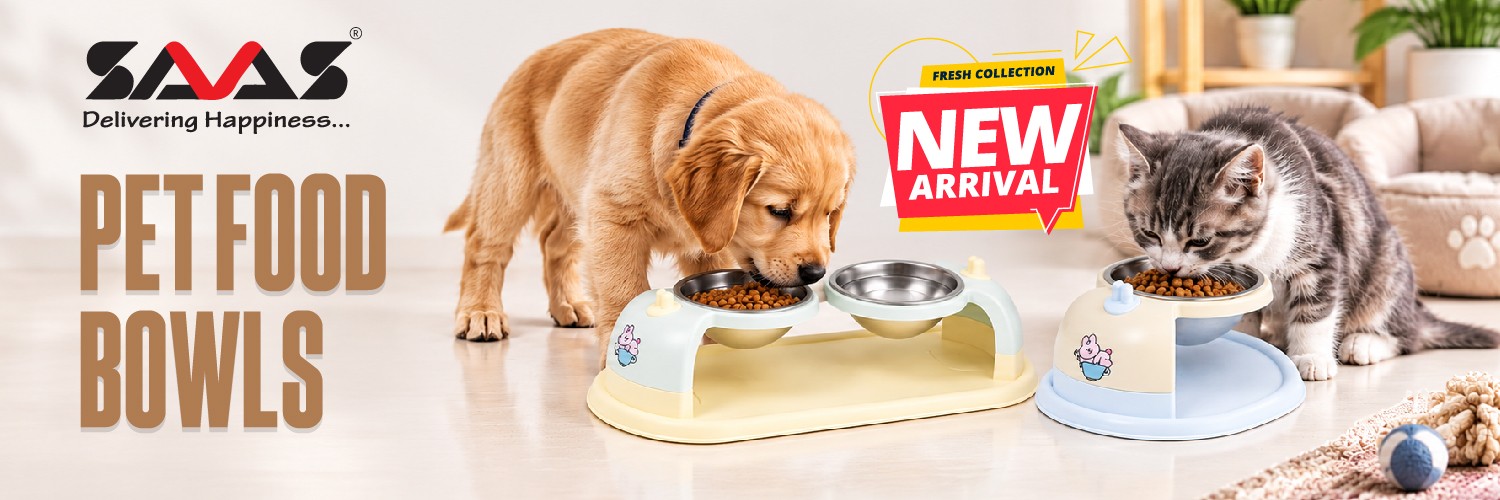 B2B SAAS PAWS promo