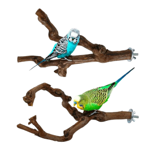 Saas Bird Grapevine Branch Perch 25 CM