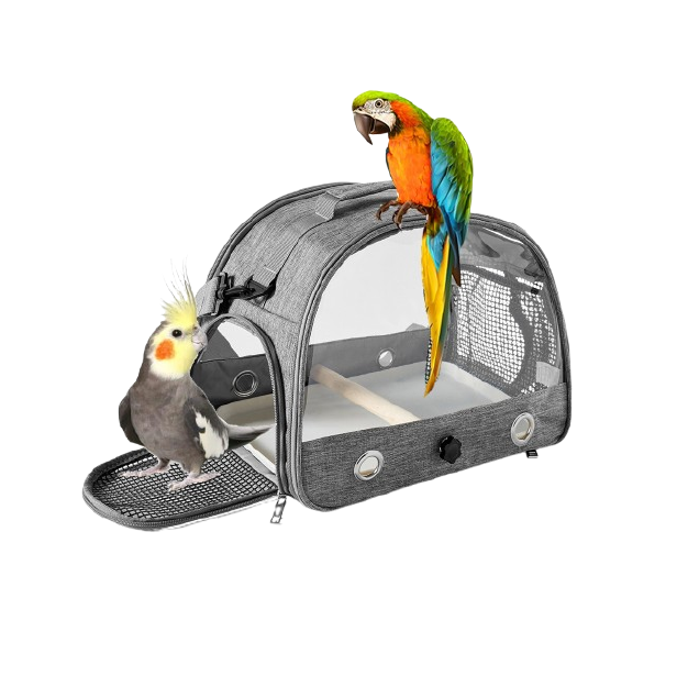 Saas Parrots Outdoor Bag 33x24x26 CM (Gray)