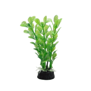 Saas Tank Decoration Plant 3 Pcs/Bag (11.5 CM)